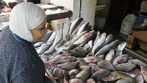 مصادر: طرح أسماك بالمجمعات الاستهلاكية بتخفيضات 50% عن أسعار السوق (خبر)