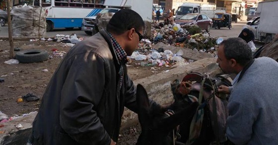 حملة لمطاردة عربات الكارو في شوارع شبرا الخيمة .. صور (خبر)