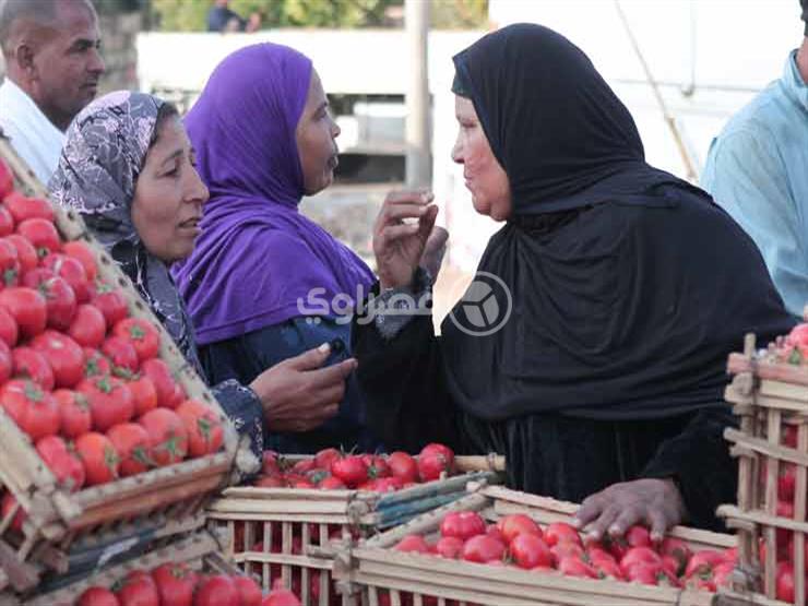 بينها الطماطم والخيار والبصل.. أسعار الخضروات ترتفع قبيل شهر رمضان (ريبورتاج)