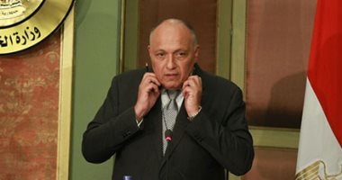 الخارجية تطالب إيطاليا بكافة تفاصيل العثور على آثار مصرية فى حاوية دبلوماسية - اليوم السابع (خبر)