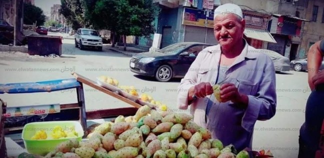 "عائل أبنائي الـ10".. عم صلاح: "وراء الشوك يستخبى العسل"