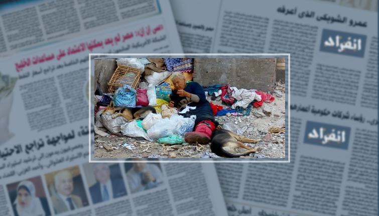 صور.. سيدة ببورسعيد تعيش وسط الكلاب الضالة وتأكل وتشرب من القمامة