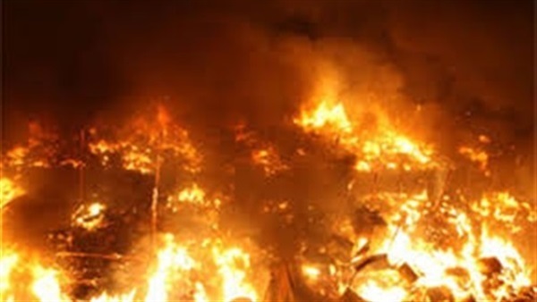 حريق هائل يلتهم عددا من الحدائق بكفر شكر في القليوبية