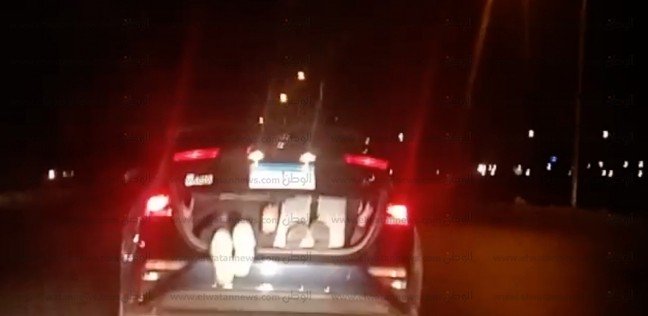 بالفيديو| قائد سيارة يعرض حياة طفلين للخطر على طريق الواحات: "كومهم في الشنطة"