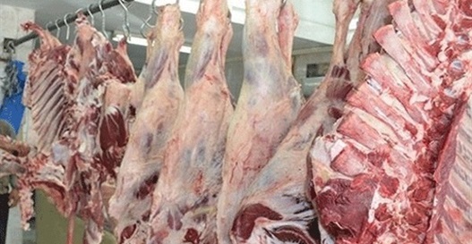 التعاقد مع «الخدمة الوطنية» لإقامة شوادر لبيع اللحوم في المحافظات