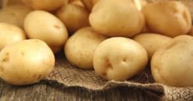 "الزراعة" تعلن ارتفاع صادرات مصر من البطاطس لـ344 ألف طن