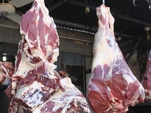 شعبة القصابين: انخفاض في أسعار اللحوم قبل عيد الأضحى
