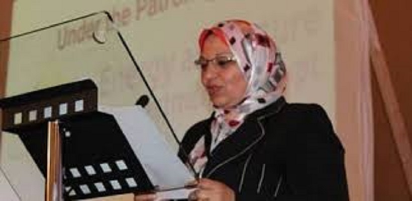 «مشالي» تستعرض إنجازات «المصرية لنقل الكهرباء» في مشروعات الربط مع دول الجوار