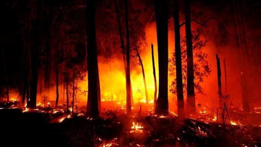 وثقت عدسته حرائق الغابات.. مصور أسترالي لـ"الوطن": أصعب مهمة منذ 15 عاما