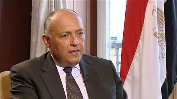 الخارجية: جهود مصر في دعم القضية الفلسطينية لا تتوقف
