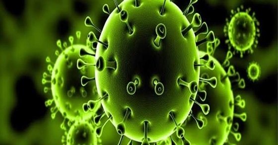 خبيرة فيروسات تحسم جدل انتشار كورونا عن طريق الهواء