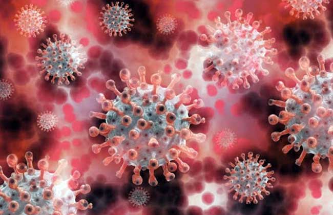 مفاجأة.. وكيل حميات العباسية: أعراض جديدة لفيروس "كورونا" وأحذر من التأخير في العلاج