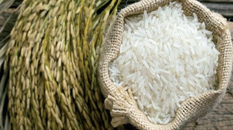 خطة «حد الكفاية» تمنع تصدير الأرز للعام الـ12 على التوالى