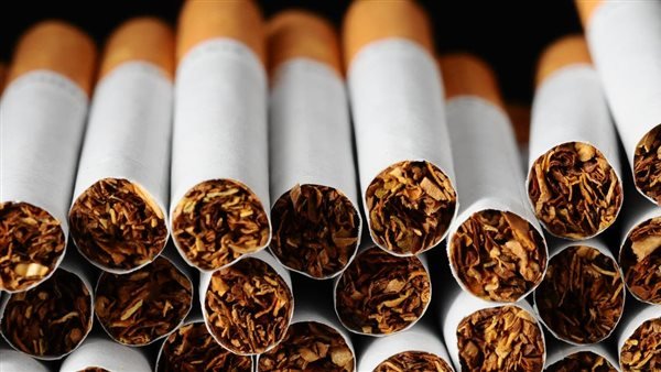 بعد تجميد المزايدة.. مجلس الوزراء يدرس تعديلات رخصة تصنيع السجائر في مصر