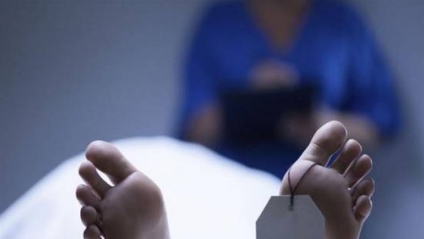 التحقيق في واقعة قتل جزار لشقيقه بمنشأة القناطر