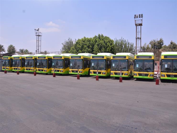 مصدر: نتوسع في تحويل أتوبيسات النقل العام بالقاهرة للعمل بالغاز الطبيعي والكهرباء