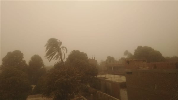 أمطار وفيضانات.. الأرصاد تكشف حقيقة تعرض مصر لأعصاير البحر المتوسط