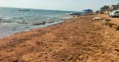 وزيرة البيئة تعلن انتهاء مكافحة التلوث الزيتى بعدد من شواطئ دهب