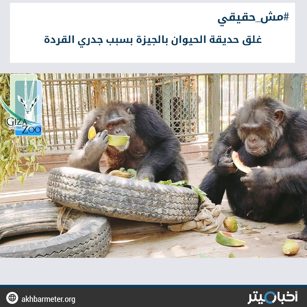 غلق حديقة الحيوان بالجيزة بسبب جدري القردة