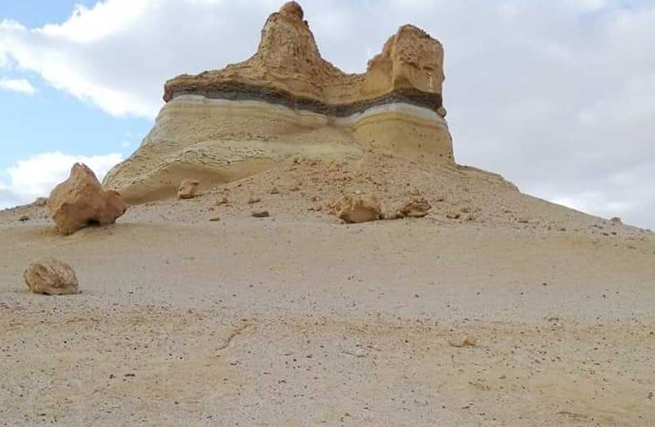 لأول مرة منذ 30 عاما.. الأزهار تنمو بجوار التكوينات الجيولوجية في وادي الحيتان |صور