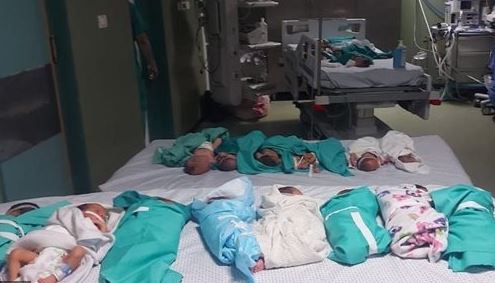 مصدر: مصر تستقبل الأطفال الخدج من مستشفى الشفاء بغزة خلال ساعات
