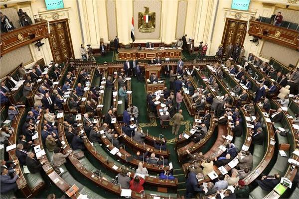 نواب: «قانون تنظيم لجوء الأجانب في مصر خطوة نحو تعزيز حقوق الإنسان»