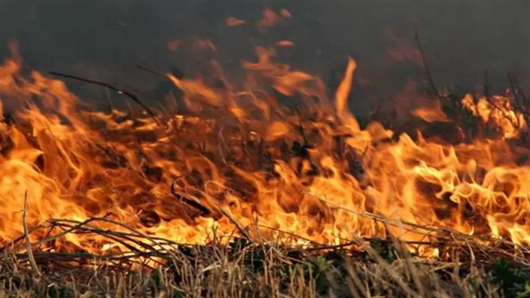 ميكانيكي يشعل النار في أرض زراعية بأسوان بسبب خلافات جيرة
