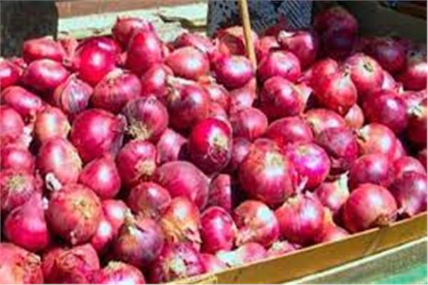 البصل بـ 14 جنيها.. إعلامي يزف بشرى سارة بشأن انخفاض الأسعار