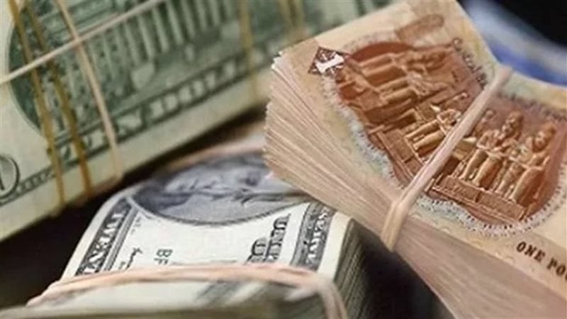 هل هناك تعويم قادم للجنيه؟ متحدث الحكومة يرد (فيديو)