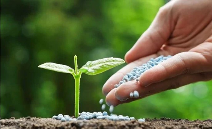 بشرى للمزارعين.. موعد انتهاء أزمة الأسمدة في مصر