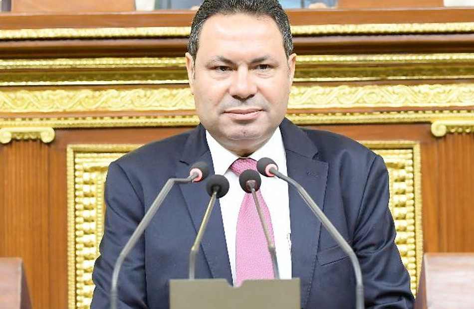 زراعة النواب تناقش خطة الحكومة لحل مشكلات مشروع الريف المصرى