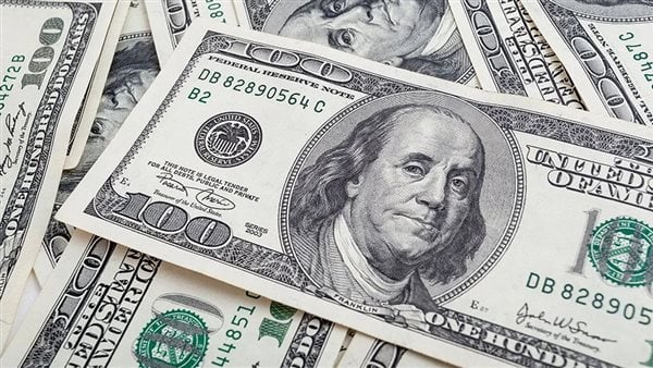 تعويم الجنيه الفترة المقبلة.. سهر الدماطي تحسم الجدل