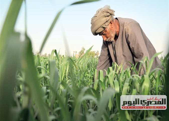 «المصري الديمقراطي» يطالب بضم فلاحي مصر لمنظومة التأمين الصحي