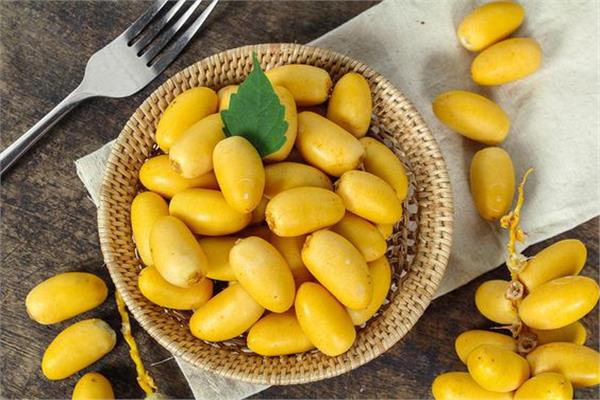 اكتشف فوائد البلح الأصفر المذهلة لصحتك