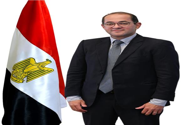 وزير المالية: لدينا مشروعات جاذبة للاستثمارات التركية