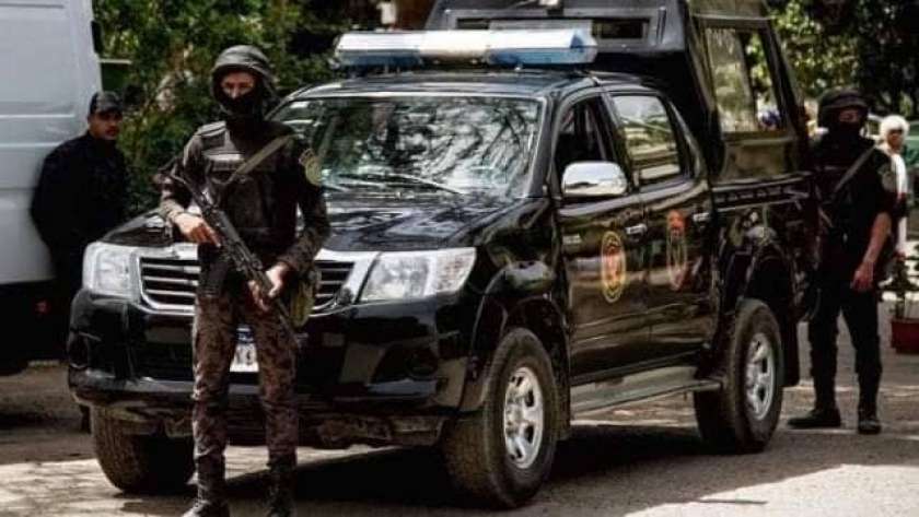 القبض على سائق ونجله بتهمة سرقة 100 «فسيلة نخيل» مجدول من أرض بالواحات