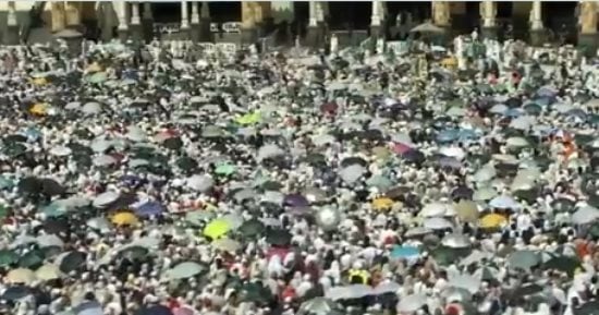 غرفة السياحة: لا علاقة لشركات السياحة بتأشيرات الزيارة وحذرنا من أداء حامليها للحج