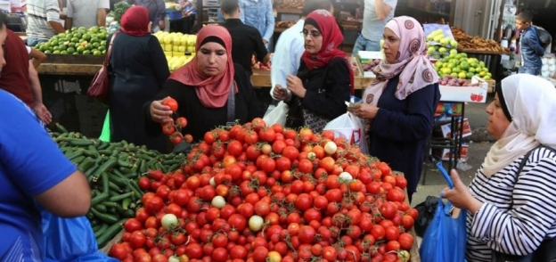 شعبة الخضروات والفاكهة تعلن بدء مبادرة «من الغيط للبيت» الاثنين المقبل