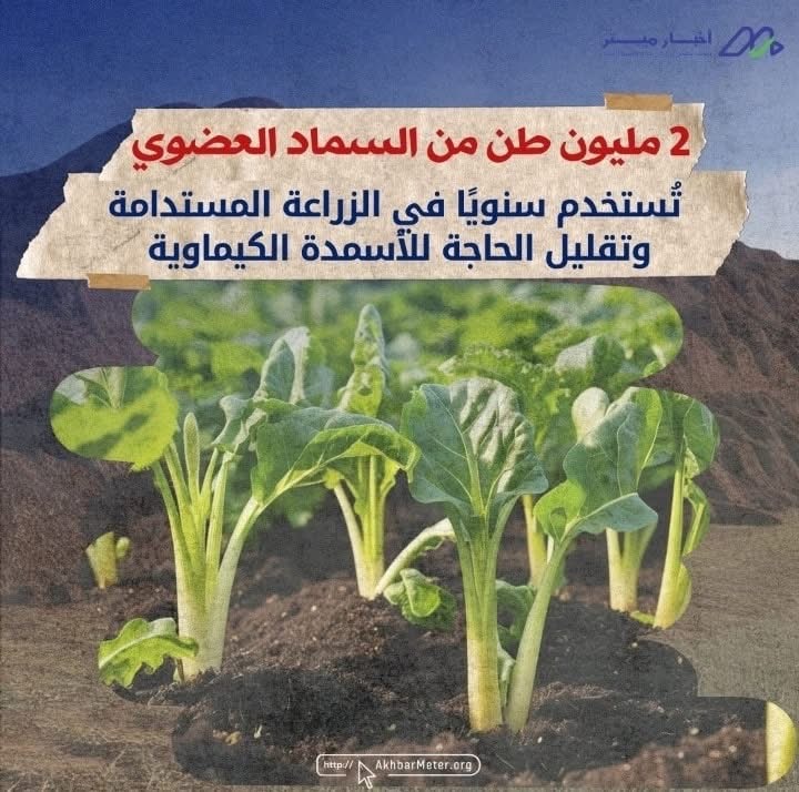 كيف تغيّر المخلفات حياتنا؟ وما الذي تصنعه إعادة التدوير؟