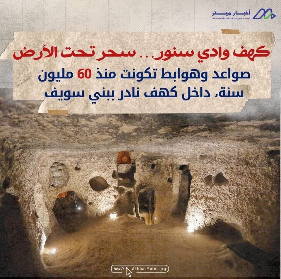 كنوز مصر الخضراء: داخل عالم المحميات الطبيعية