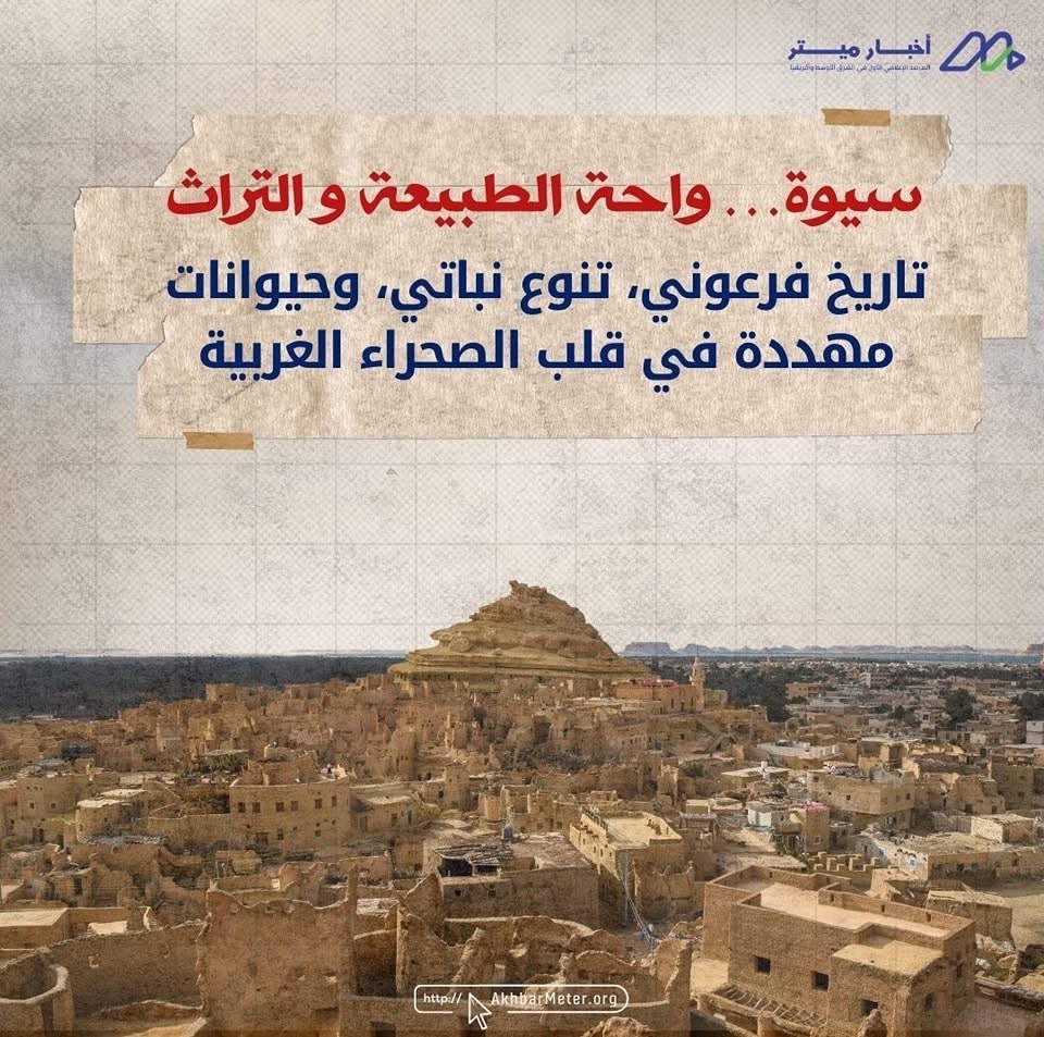 كنوز مصر الخضراء: داخل عالم المحميات الطبيعية