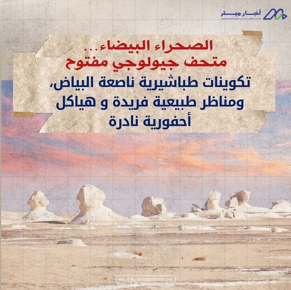 كنوز مصر الخضراء: داخل عالم المحميات الطبيعية