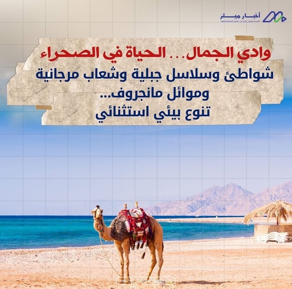كنوز مصر الخضراء: داخل عالم المحميات الطبيعية
