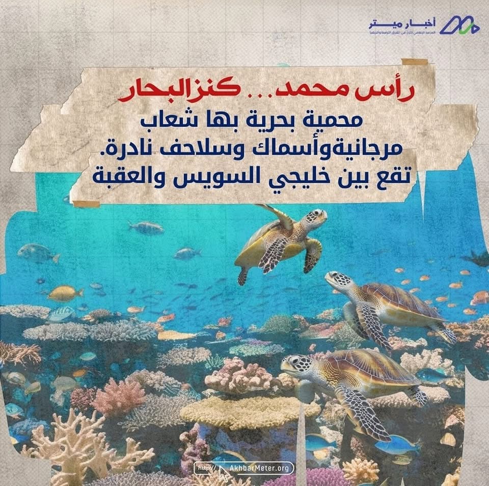 كنوز مصر الخضراء: داخل عالم المحميات الطبيعية