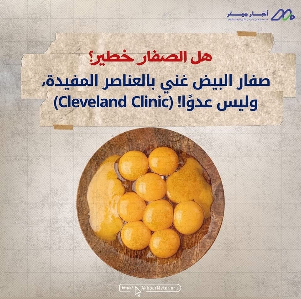 البيض: كنز غذائي في قشرة بسيطة