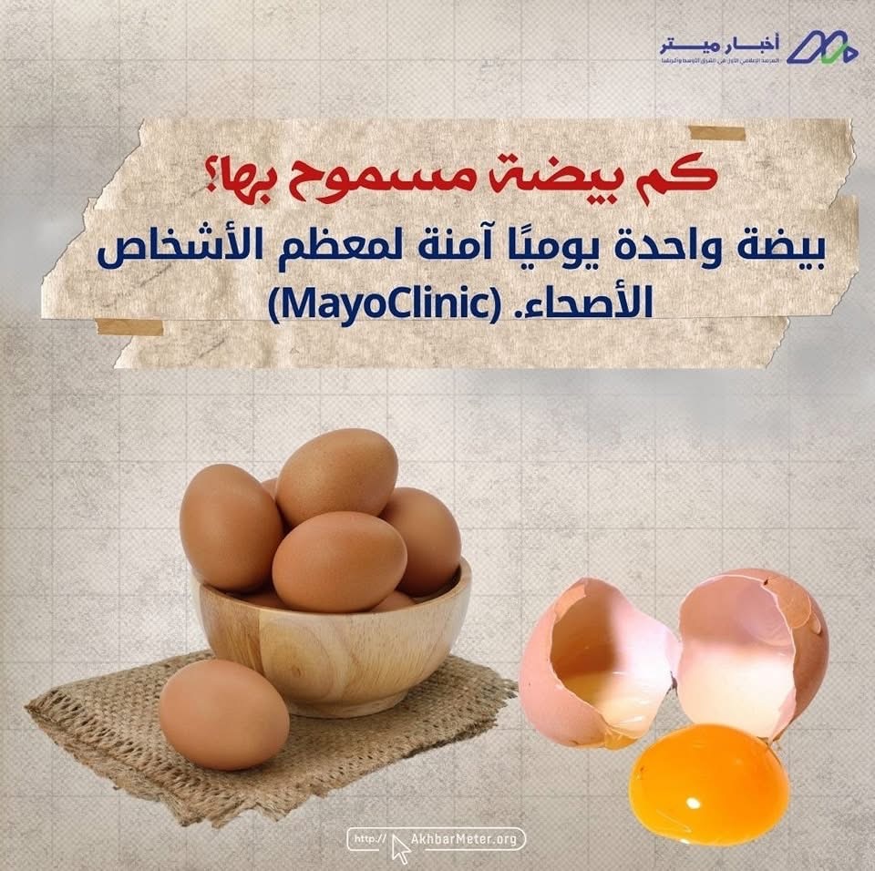 البيض: كنز غذائي في قشرة بسيطة