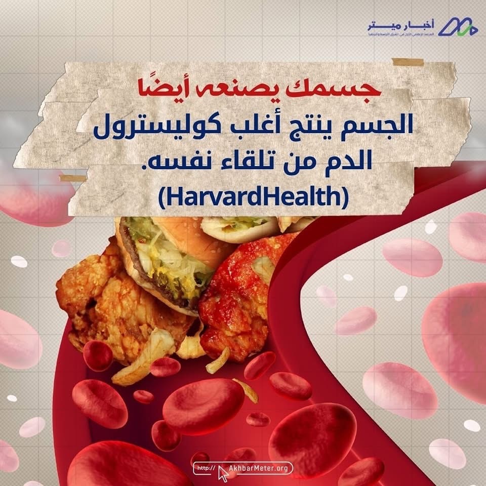 البيض: كنز غذائي في قشرة بسيطة