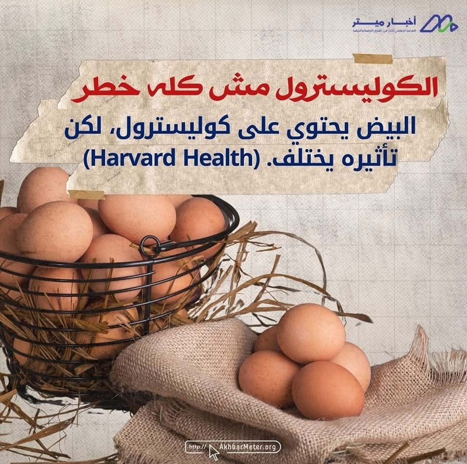 البيض: كنز غذائي في قشرة بسيطة