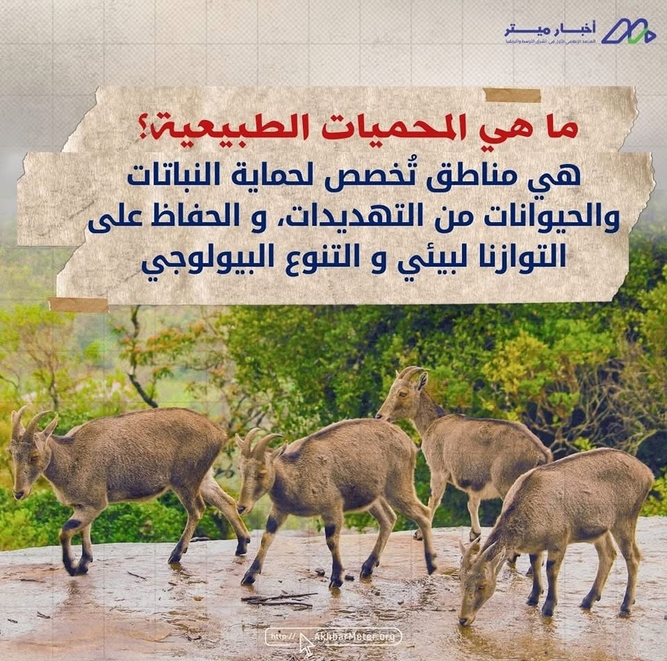حين تتحدث الطبيعة بصوت هادئ... داخل المحميات