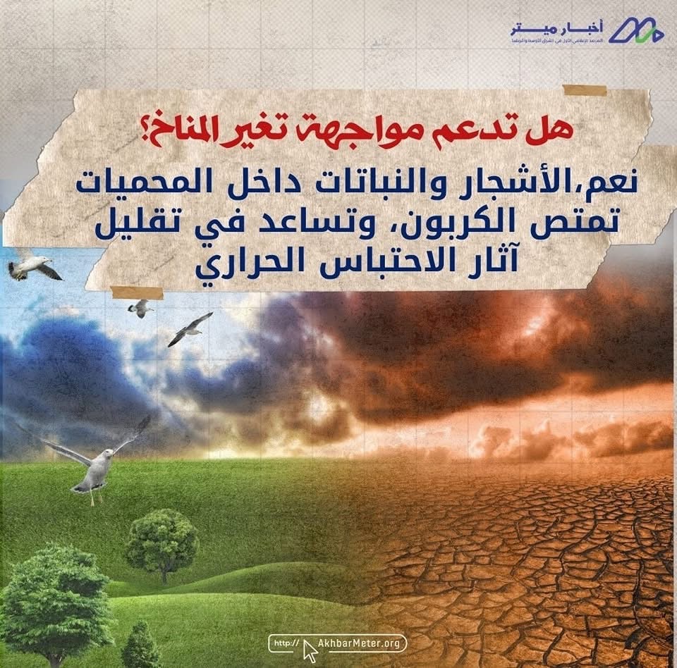 حين تتحدث الطبيعة بصوت هادئ... داخل المحميات